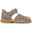 Angulus Sandal M. Velcrolukning Leopard Online now