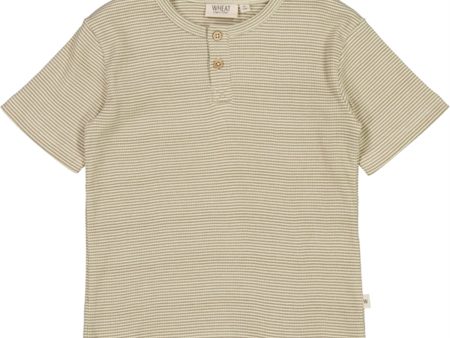 Wheat Warm Stone Stripe Lumi T-shirt Sale