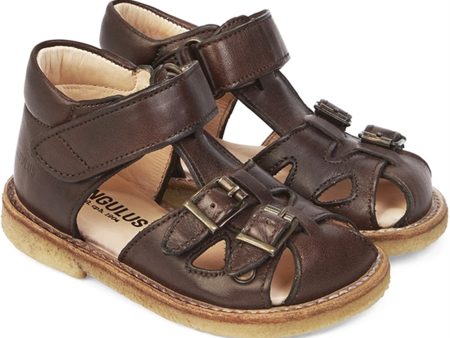 Angulus Begyndersandal M. Velcro Og Spænder Mørkebrun For Discount