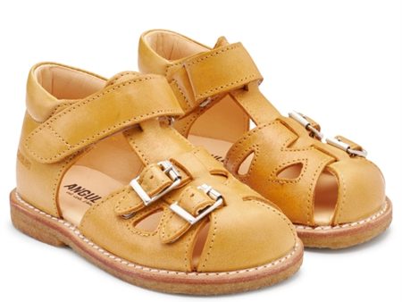 Angulus Begyndersandal M. Velcro Og Spænder Camel on Sale