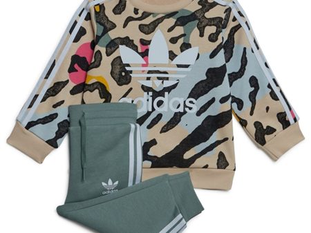 adidas Originals Beige   Multi Color Sweat Sæt Online