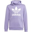 adidas Originals Maglil Trefoil Hoodie Discount